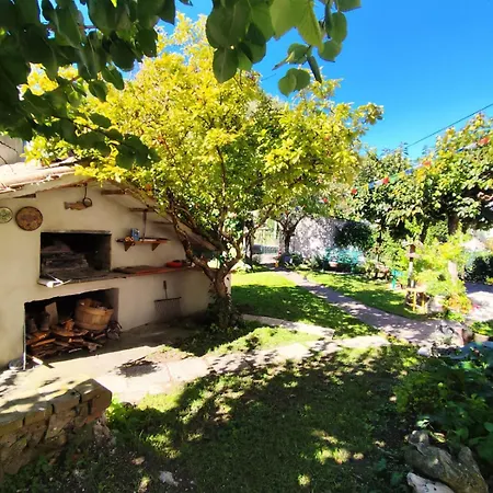 La Cinciallegra - Locazione Turistica