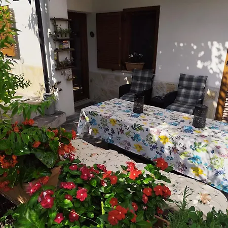 La Cinciallegra - Locazione Turistica *